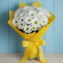 Букет цветов из:  Хризантемы в Вревском