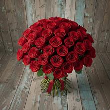 Букет 55 Красных роз Фридом #REPLACE_PRED# Вревском