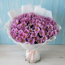 Букет цветов из:  Хризантемы в Вревском