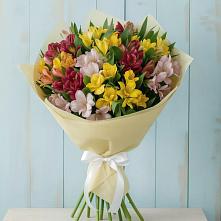 Букет цветов из:  Альстромерии #REPLACE_PRED# Вревском
