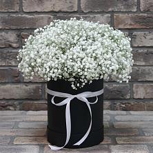 Цветочная композиция из Гипсофила в шляпной коробке в Вревском